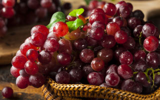 Приготовление вина из красного винограда в домашних условиях