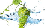 Польза зеленых и белых сортов винограда