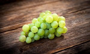 Сорт винограда «Прима Украины» описание, фото и видео