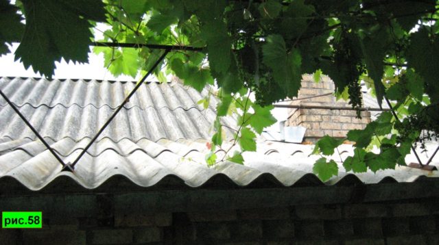 шпалера на крыше